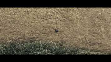 Free download Adidas Y-3 Sport AW16 - Campaign Film video and edit with RedcoolMedia movie maker MovieStudio video editor online and AudioStudio audio editor onlin