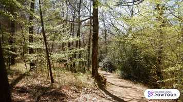 Free download A diferencia entre queimadas e incndios video and edit with RedcoolMedia movie maker MovieStudio video editor online and AudioStudio audio editor onlin