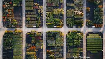 Free download Adobe Creative Cloud video and edit with RedcoolMedia movie maker MovieStudio video editor online and AudioStudio audio editor onlin