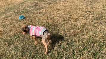 Free download ADR Melody Gardot video and edit with RedcoolMedia movie maker MovieStudio video editor online and AudioStudio audio editor onlin