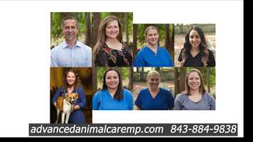 Free download Advanced animal Care video and edit with RedcoolMedia movie maker MovieStudio video editor online and AudioStudio audio editor onlin