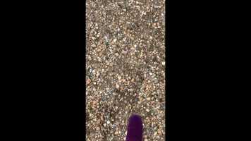 Free download adventuree video and edit with RedcoolMedia movie maker MovieStudio video editor online and AudioStudio audio editor onlin