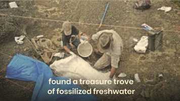 Free download Adventure in Fun Facts (Episode 28) video and edit with RedcoolMedia movie maker MovieStudio video editor online and AudioStudio audio editor onlin