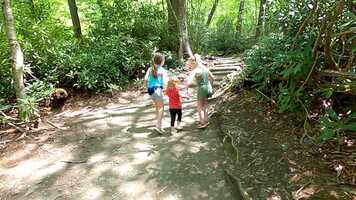 Free download Adventures in Great Smoky Mountains National Park 2021 video and edit with RedcoolMedia movie maker MovieStudio video editor online and AudioStudio audio editor onlin