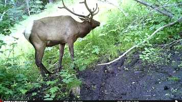 Free download Adventurous Welcome Back 2020 video and edit with RedcoolMedia movie maker MovieStudio video editor online and AudioStudio audio editor onlin