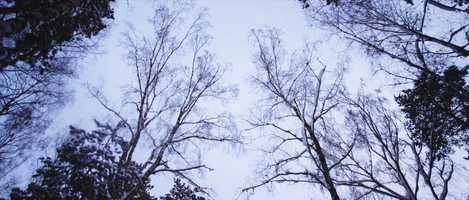 Free download Aerial Reel 2019 video and edit with RedcoolMedia movie maker MovieStudio video editor online and AudioStudio audio editor onlin