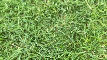 Free download Aff(L)ECtive Trailer video and edit with RedcoolMedia movie maker MovieStudio video editor online and AudioStudio audio editor onlin