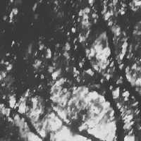 Free download a film by nico lang - trailer video and edit with RedcoolMedia movie maker MovieStudio video editor online and AudioStudio audio editor onlin