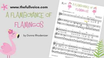 Free download A Flamboyance of Flamingos by Donna Rhodenizer video and edit with RedcoolMedia movie maker MovieStudio video editor online and AudioStudio audio editor onlin