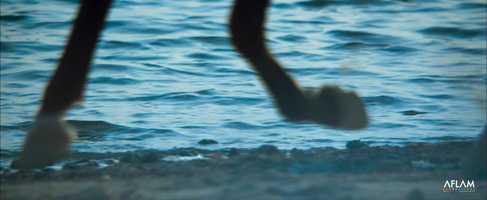 Free download AFLAM Sports Reel video and edit with RedcoolMedia movie maker MovieStudio video editor online and AudioStudio audio editor onlin