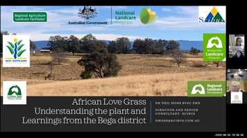 Free download African Love Grass (Eragrostis curvula) with Neil Moss - Understanding the plant  learning from the Bega District video and edit with RedcoolMedia movie maker MovieStudio video editor online and AudioStudio audio editor onlin