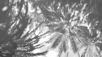 Free download Afropolis 2020 Nouakchott: A Prelude video and edit with RedcoolMedia movie maker MovieStudio video editor online and AudioStudio audio editor onlin