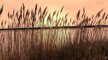 Free download Afternoon On A Hill video and edit with RedcoolMedia movie maker MovieStudio video editor online and AudioStudio audio editor onlin