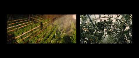 Free download After the End: Visions of the Post-Apocalypse video and edit with RedcoolMedia movie maker MovieStudio video editor online and AudioStudio audio editor onlin