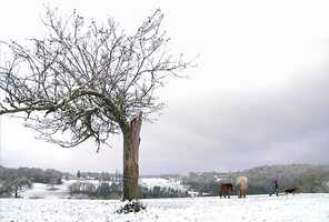 Free download After Winter, Spring Trailer video and edit with RedcoolMedia movie maker MovieStudio video editor online and AudioStudio audio editor onlin