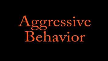 Free download Aggressive Behavior_Trailer video and edit with RedcoolMedia movie maker MovieStudio video editor online and AudioStudio audio editor onlin