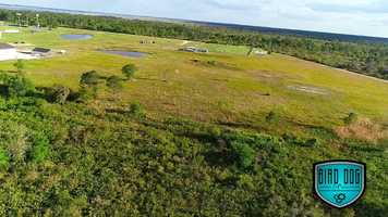 Free download ag video and edit with RedcoolMedia movie maker MovieStudio video editor online and AudioStudio audio editor onlin