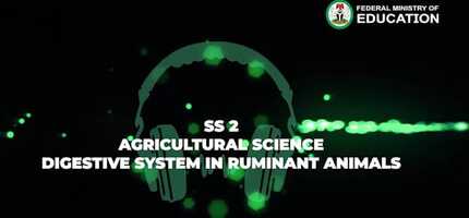 Free download Agricultural Science-Digestive System In Ruminant Animals-Ss 2-1.m4v video and edit with RedcoolMedia movie maker MovieStudio video editor online and AudioStudio audio editor onlin