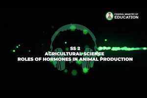 Free download Agricultural Science-Roles Of Hormones In Animal Production-Ss 2-3.m4v video and edit with RedcoolMedia movie maker MovieStudio video editor online and AudioStudio audio editor onlin