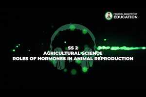 Free download Agricultural Science-Roles Of Hormones In Animal Reproduction-Ss 2-4.m4v video and edit with RedcoolMedia movie maker MovieStudio video editor online and AudioStudio audio editor onlin