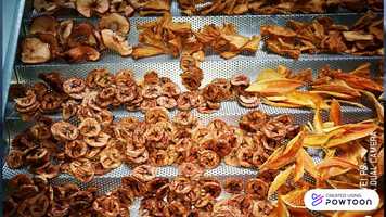 Free download Agroindustria CTP Hojancha video and edit with RedcoolMedia movie maker MovieStudio video editor online and AudioStudio audio editor onlin