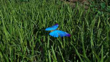 Free download A guitar video and edit with RedcoolMedia movie maker MovieStudio video editor online and AudioStudio audio editor onlin