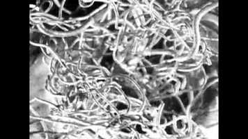 Free download A hommage to the Bagger 288 video and edit with RedcoolMedia movie maker MovieStudio video editor online and AudioStudio audio editor onlin