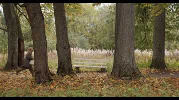 Free download A HORSEY NAME SHORT VIDEO video and edit with RedcoolMedia movie maker MovieStudio video editor online and AudioStudio audio editor onlin