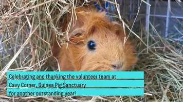 Free download A huge thanks to all the Cavy Corner Team! video and edit with RedcoolMedia movie maker MovieStudio video editor online and AudioStudio audio editor onlin