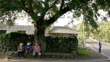 Free download Airbnb: Jeju Island God in the Flower video and edit with RedcoolMedia movie maker MovieStudio video editor online and AudioStudio audio editor onlin