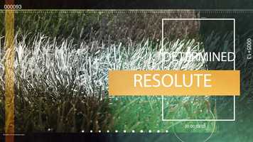 Free download Airedale All Access Coaches Show 09.04 video and edit with RedcoolMedia movie maker MovieStudio video editor online and AudioStudio audio editor onlin