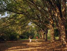 Free download Air video and edit with RedcoolMedia movie maker MovieStudio video editor online and AudioStudio audio editor onlin