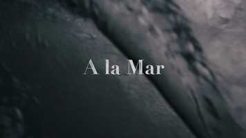 Free download A LA MAR - TRAILER video and edit with RedcoolMedia movie maker MovieStudio video editor online and AudioStudio audio editor onlin