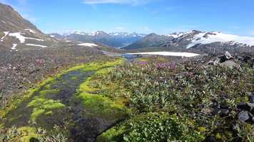 Free download Alaska 2019 video and edit with RedcoolMedia movie maker MovieStudio video editor online and AudioStudio audio editor onlin