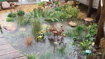 Free download Aldbourne Rain Garden by Wendy Allen Designs for ARK video and edit with RedcoolMedia movie maker MovieStudio video editor online and AudioStudio audio editor onlin
