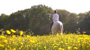 Free download Alder Farm video and edit with RedcoolMedia movie maker MovieStudio video editor online and AudioStudio audio editor onlin