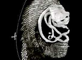 Free download Aldo Caredda, LOST IN THE SUPER MARKET # 15 film BEAUBOURG video and edit with RedcoolMedia movie maker MovieStudio video editor online and AudioStudio audio editor onlin