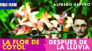 Free download AL ENTREABRIRSE LA FLOR DE COYOL ALFREDO ESPINO� | Despues de la Lluvia Alfredo Espino�️ | Poesa � video and edit with RedcoolMedia movie maker MovieStudio video editor online and AudioStudio audio editor onlin