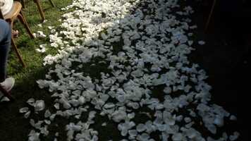 Free download Alexandre  Ivana trailer HD video and edit with RedcoolMedia movie maker MovieStudio video editor online and AudioStudio audio editor onlin