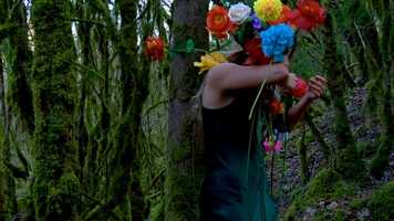 Free download ALGHABA short film video and edit with RedcoolMedia movie maker MovieStudio video editor online and AudioStudio audio editor onlin