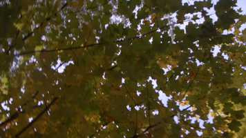 Free download Al Hanissim teaser 2 video and edit with RedcoolMedia movie maker MovieStudio video editor online and AudioStudio audio editor onlin