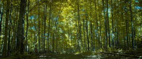 Free download Alien Land video and edit with RedcoolMedia movie maker MovieStudio video editor online and AudioStudio audio editor onlin