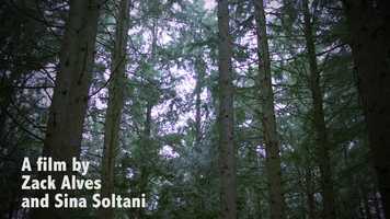 Free download A Little Bit to the Left (Award Winner) video and edit with RedcoolMedia movie maker MovieStudio video editor online and AudioStudio audio editor onlin