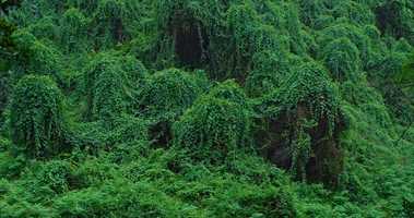 Free download All About ING_Trailer video and edit with RedcoolMedia movie maker MovieStudio video editor online and AudioStudio audio editor onlin