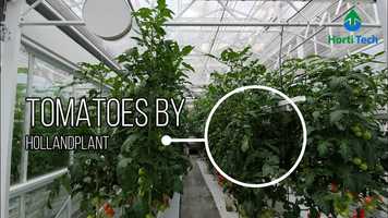 Free download All-climate Greenhouse 2020 video and edit with RedcoolMedia movie maker MovieStudio video editor online and AudioStudio audio editor onlin