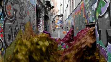 Free download Alley Flip Fluids video and edit with RedcoolMedia movie maker MovieStudio video editor online and AudioStudio audio editor onlin