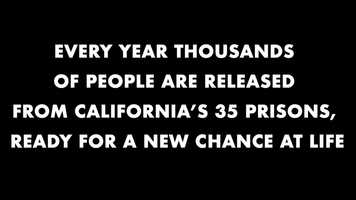 Free download ALL HANDS ON THE DECKS video and edit with RedcoolMedia movie maker MovieStudio video editor online and AudioStudio audio editor onlin