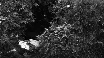 Free download All I believe happened there was vision - Trailer for aemi online exhibition video and edit with RedcoolMedia movie maker MovieStudio video editor online and AudioStudio audio editor onlin