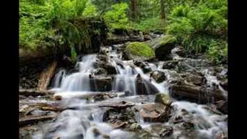 Free download All Who Are Thirsty video and edit with RedcoolMedia movie maker MovieStudio video editor online and AudioStudio audio editor onlin