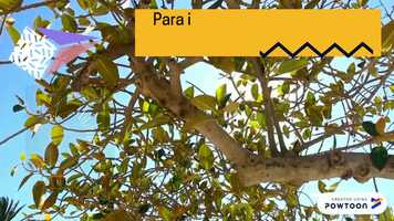 Free download ALOUATTA video and edit with RedcoolMedia movie maker MovieStudio video editor online and AudioStudio audio editor onlin